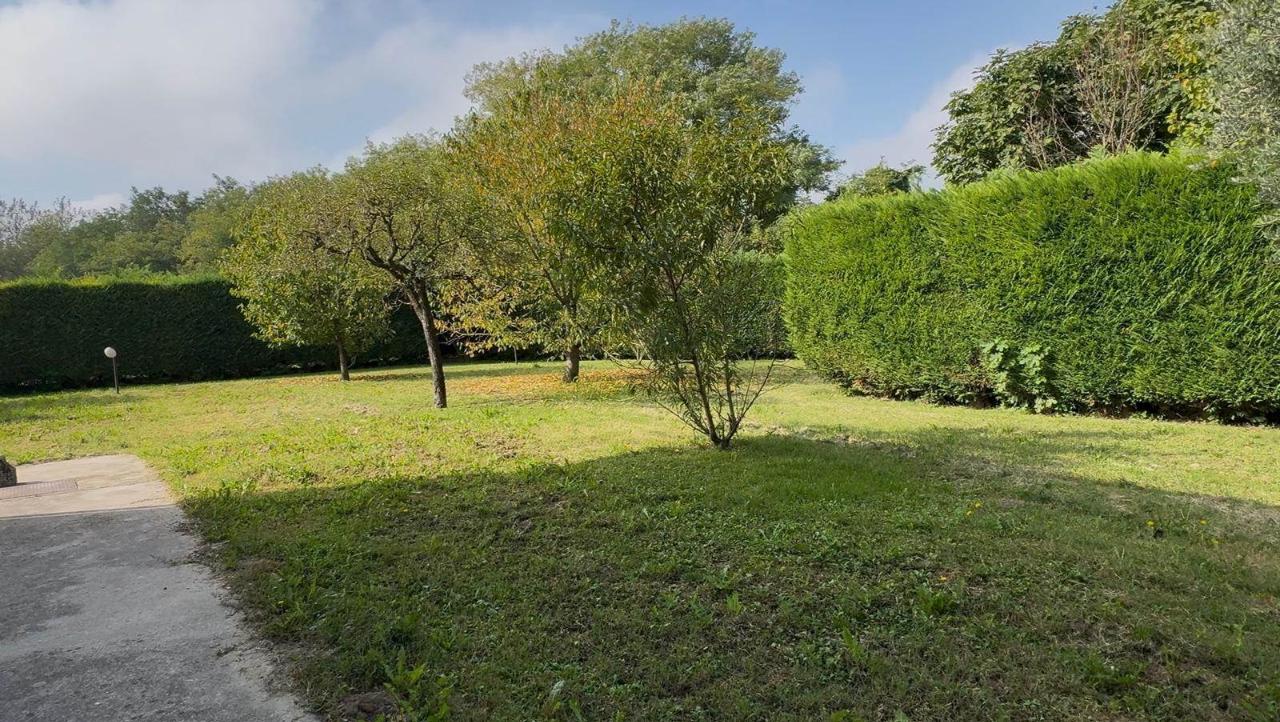 immagine annuncio 3 di 7