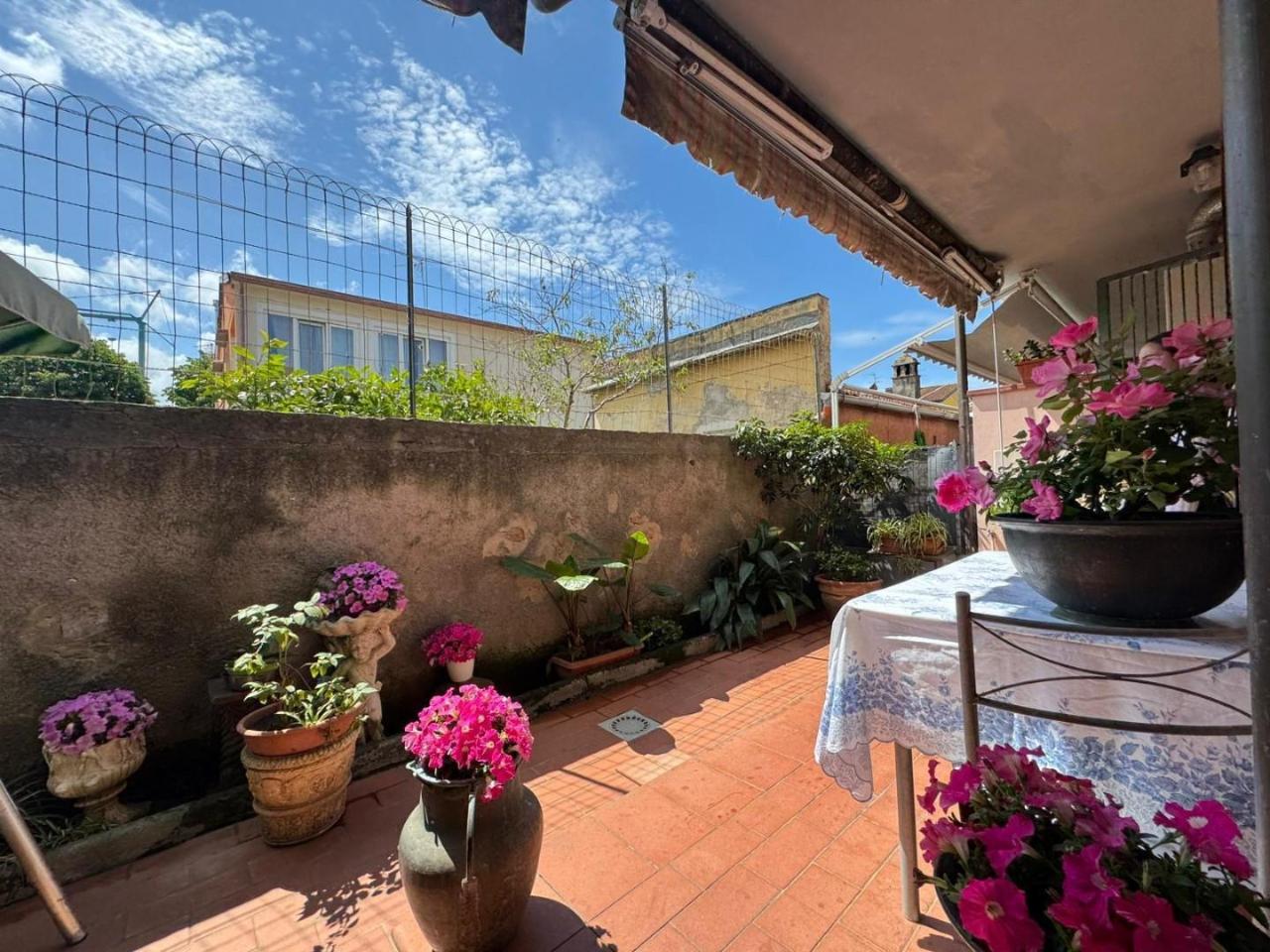 immagine annuncio 14 di 15