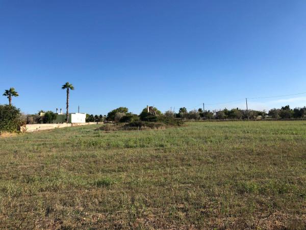 Terreno agricolo in vendita a Galatone