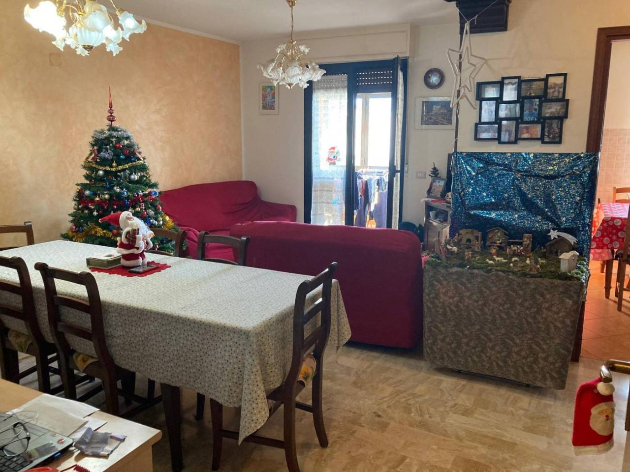 immagine annuncio 2 di 12