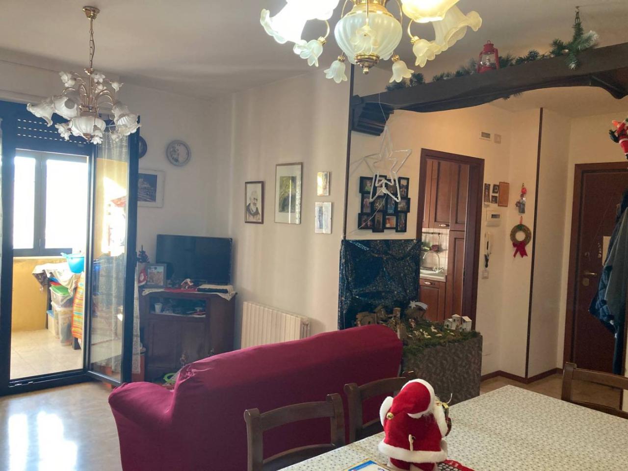 immagine annuncio 3 di 12