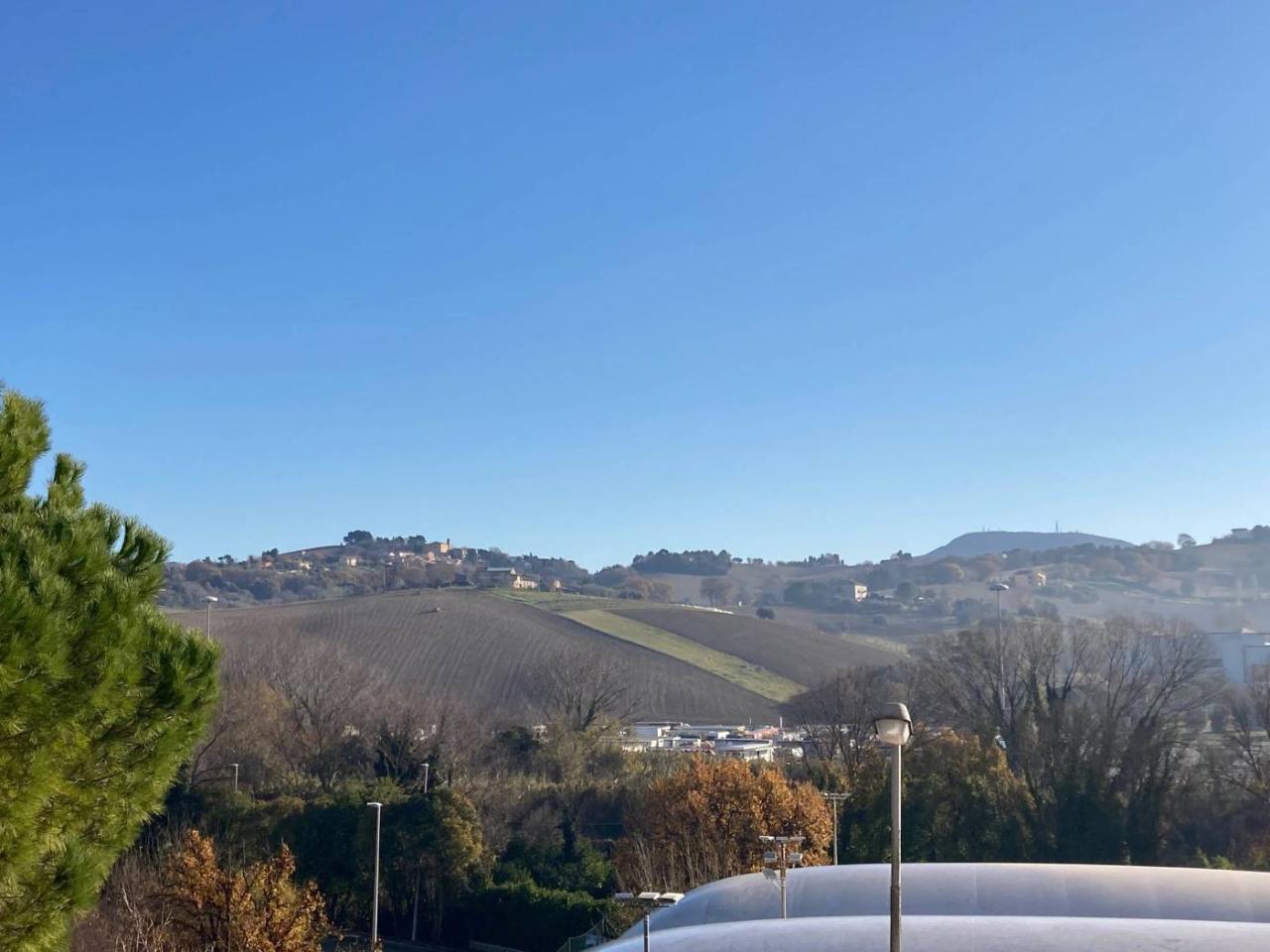 immagine annuncio 9 di 12