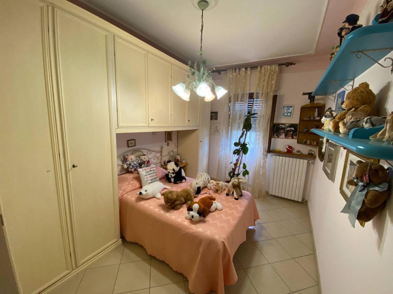 immagine annuncio 6 di 11