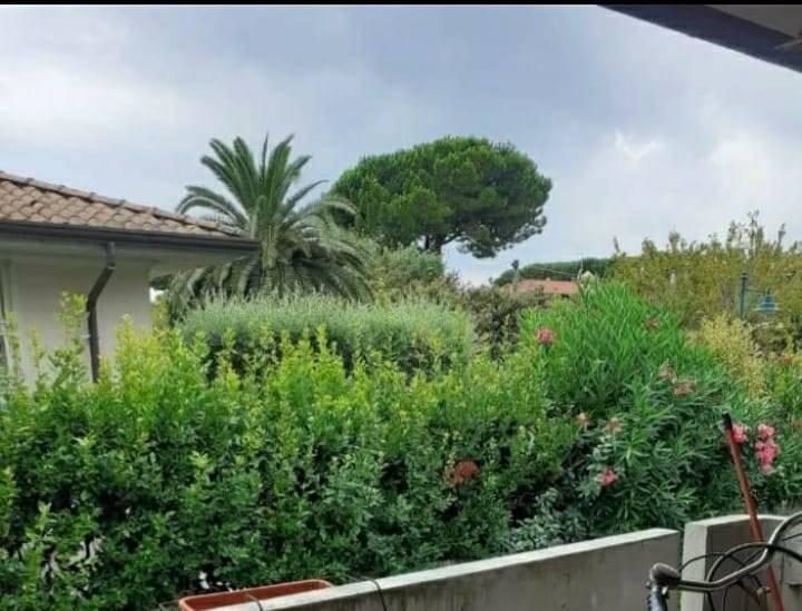 immagine annuncio 7 di 8