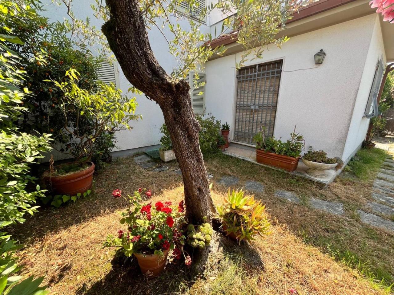 immagine annuncio 1 di 14