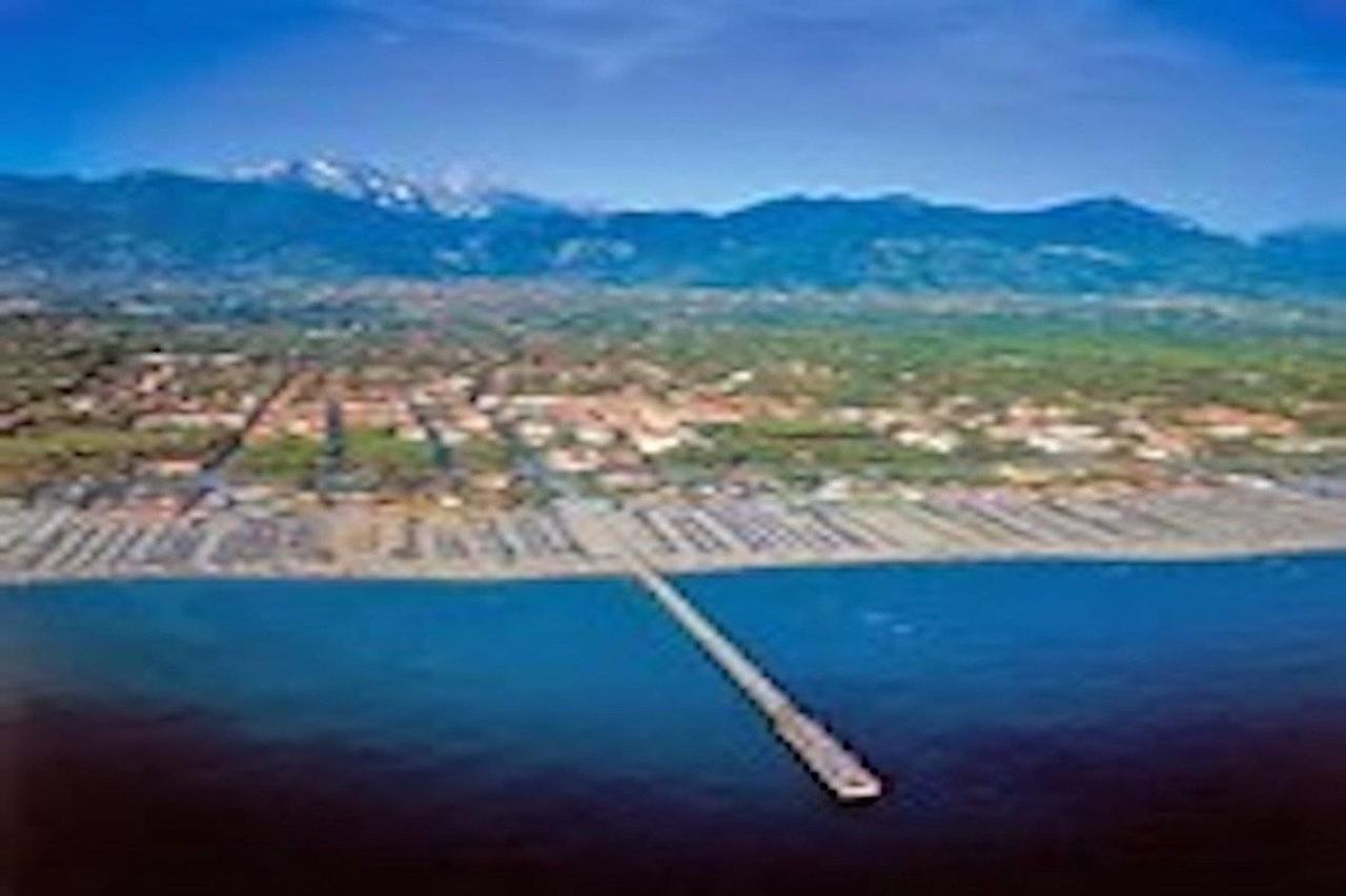 immagine annuncio 10 di 12