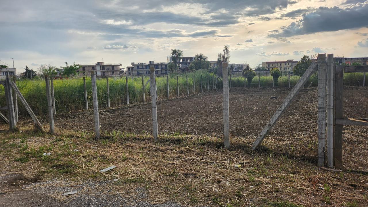 immagine annuncio 5 di 6
