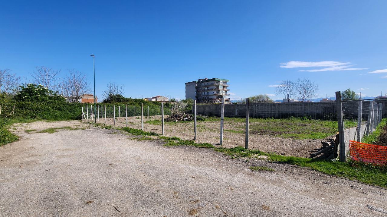 immagine annuncio 1 di 8