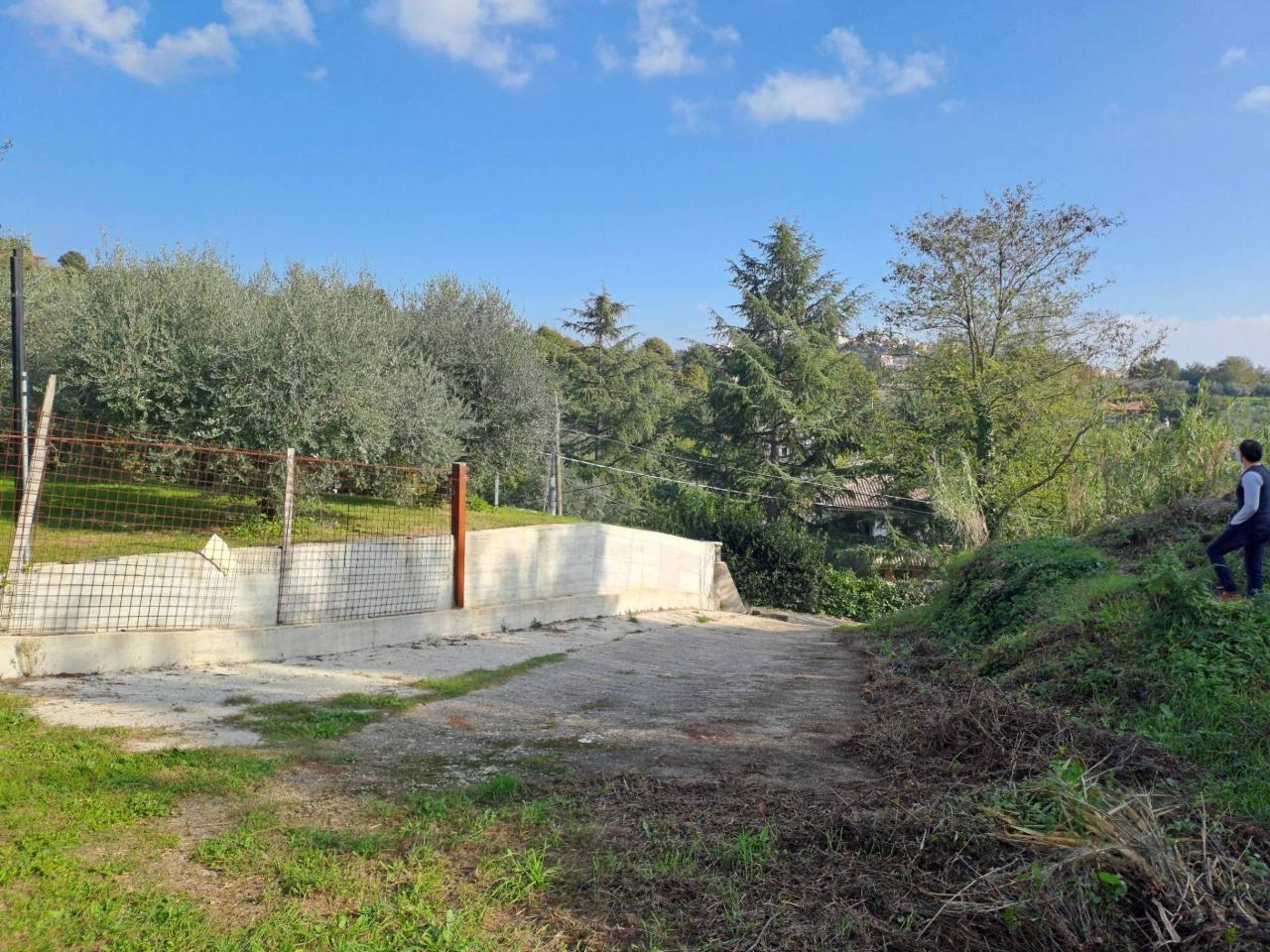 immagine annuncio 4 di 8