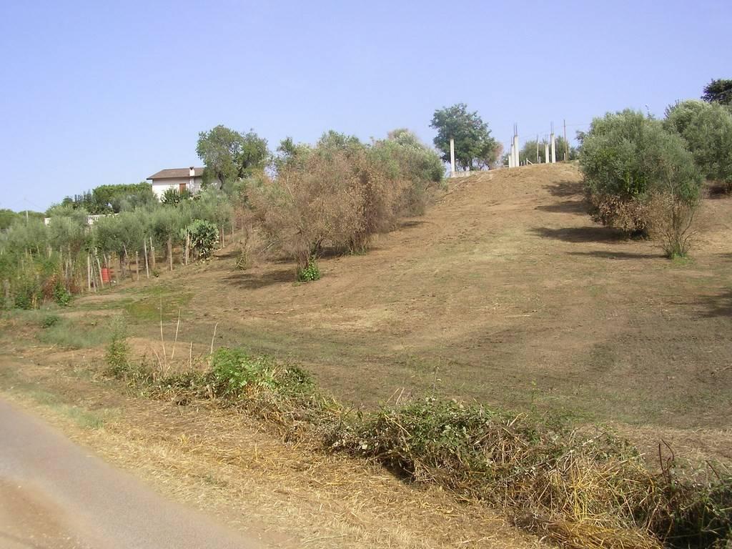 immagine annuncio 9 di 14