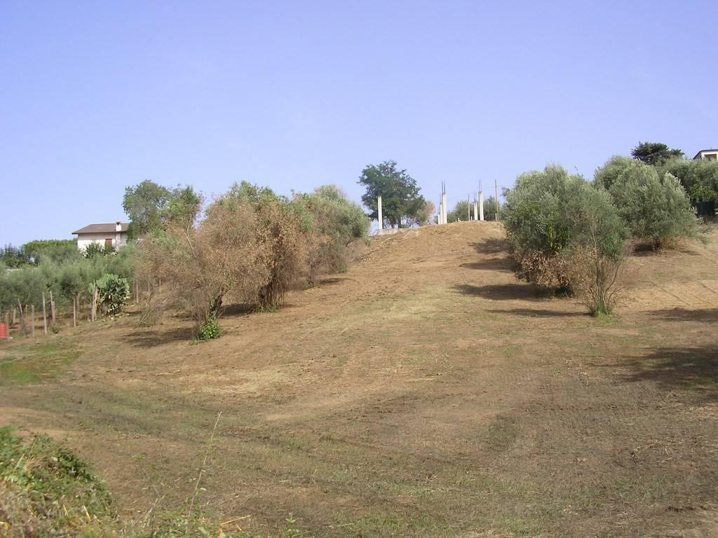 immagine annuncio 7 di 14