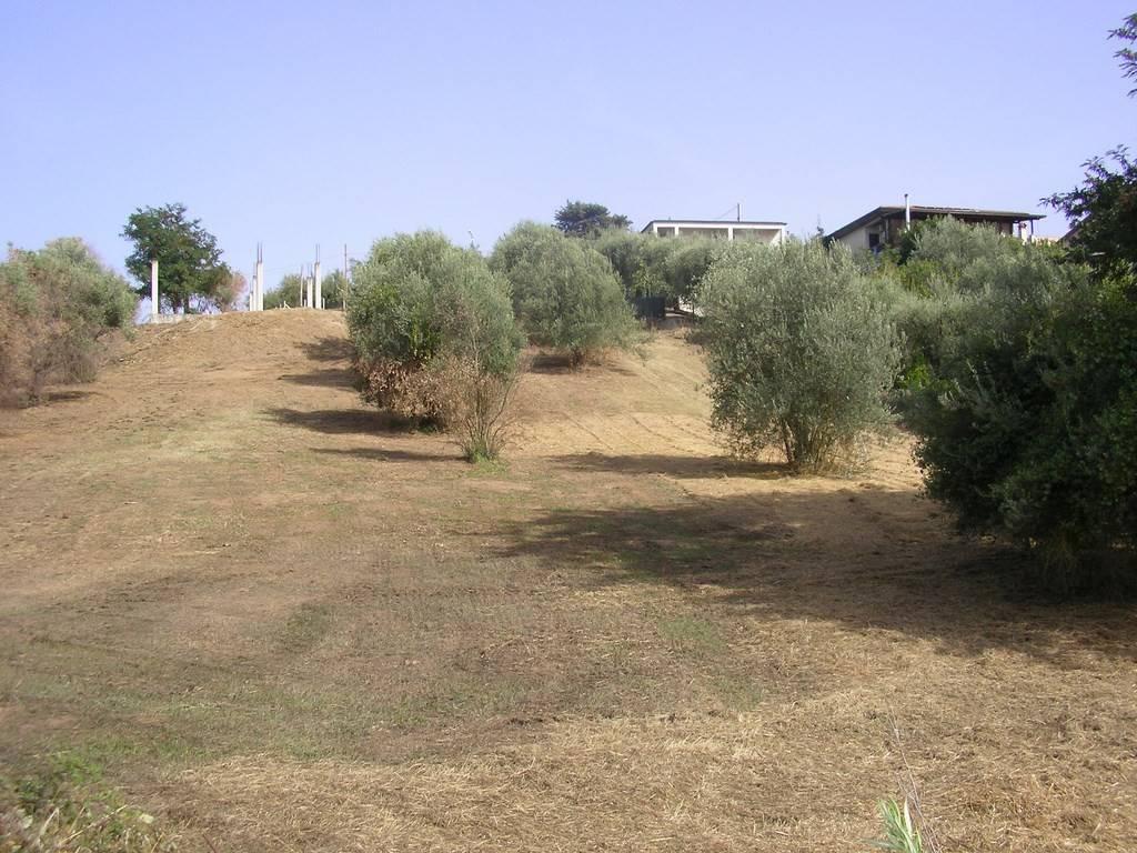 immagine annuncio 6 di 14