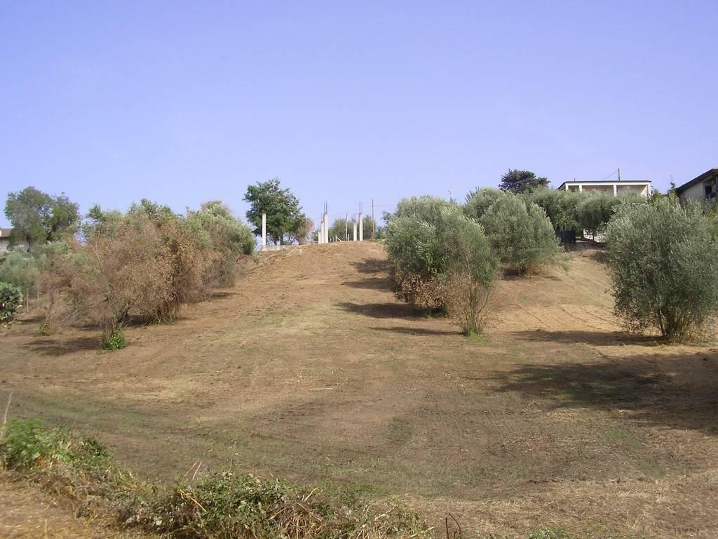 immagine annuncio 11 di 14