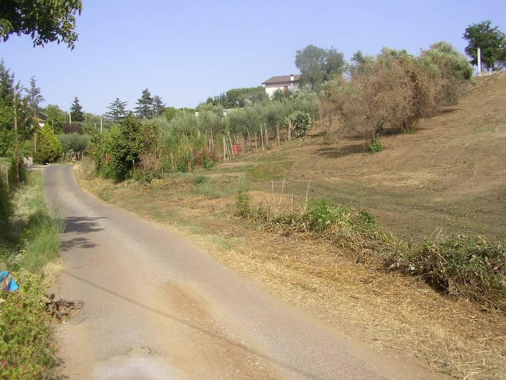 immagine annuncio 10 di 14