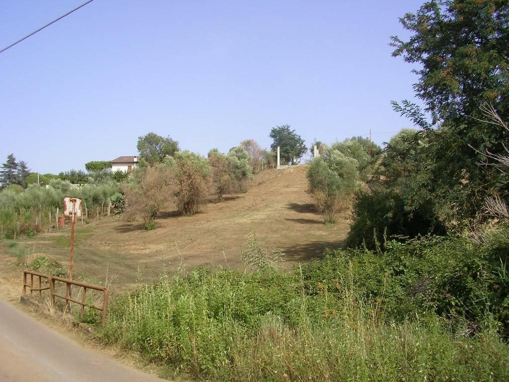 immagine annuncio 12 di 14