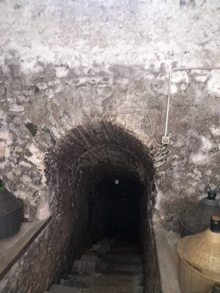 immagine annuncio 5 di 15