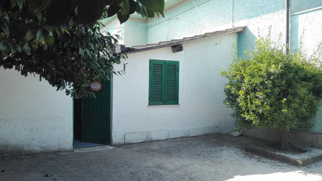 immagine annuncio 11 di 14