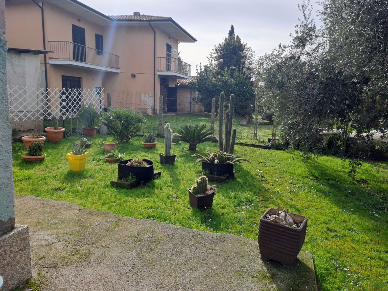 immagine annuncio 10 di 14
