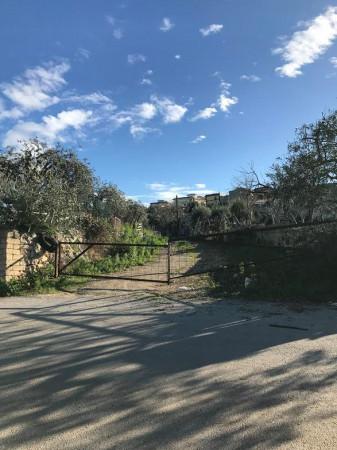 Terreno agricolo in C.da Spalla, Siracusa - Foto 1