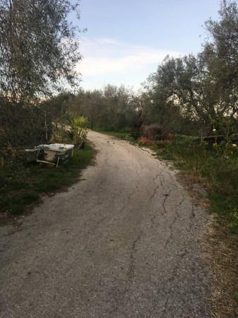 Terreno agricolo in Contrada Carancino, Siracusa - Foto 1