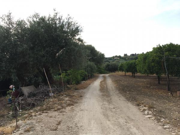 Terreno agricolo in Contrada Carancino, Siracusa - Foto 1