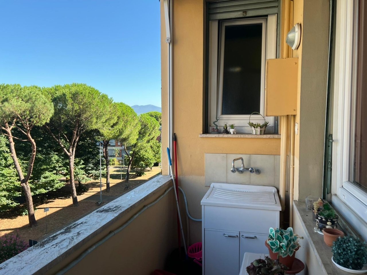 immagine annuncio 6 di 13