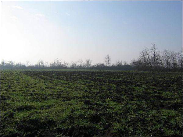 Terreno agricolo in vendita a Reggio Emilia