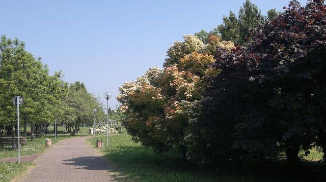 Mansion in Via Aristide Gabelli, Reggio nell'Emilia - Photo 1