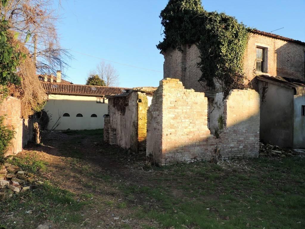 immagine annuncio 6 di 11