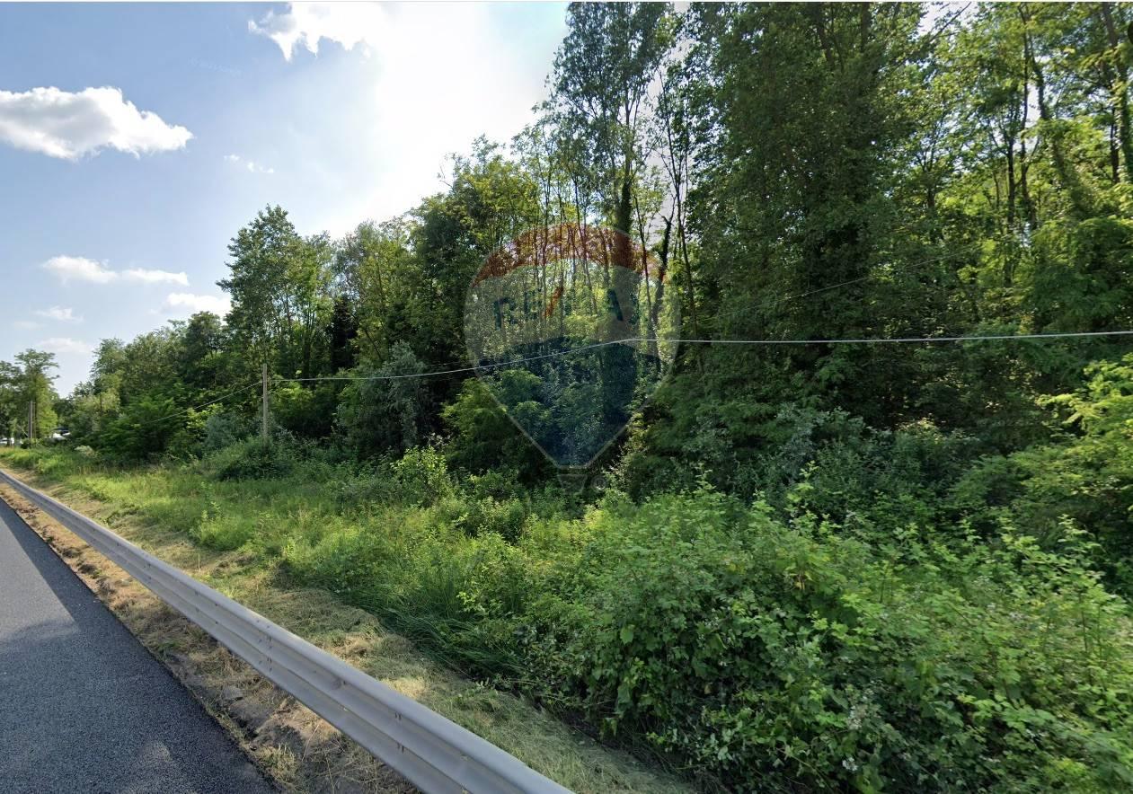 immagine annuncio 1 di 6