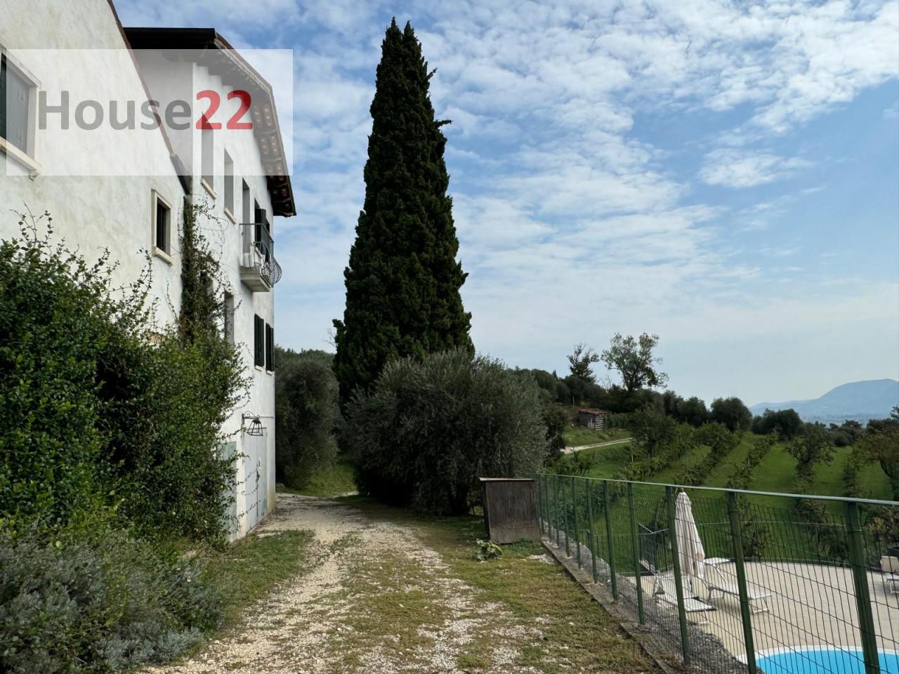 immagine annuncio 7 di 11
