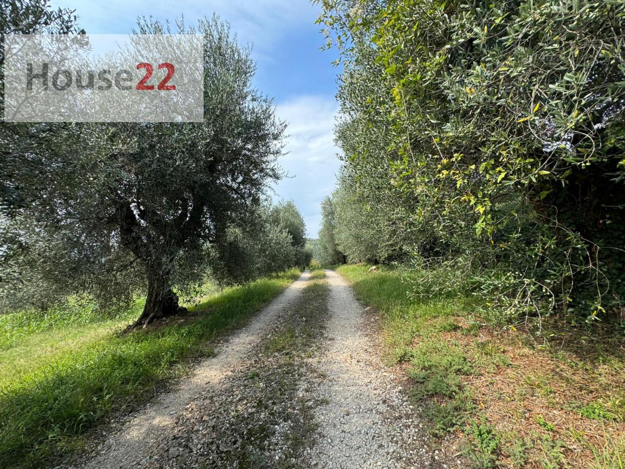 immagine annuncio 6 di 11