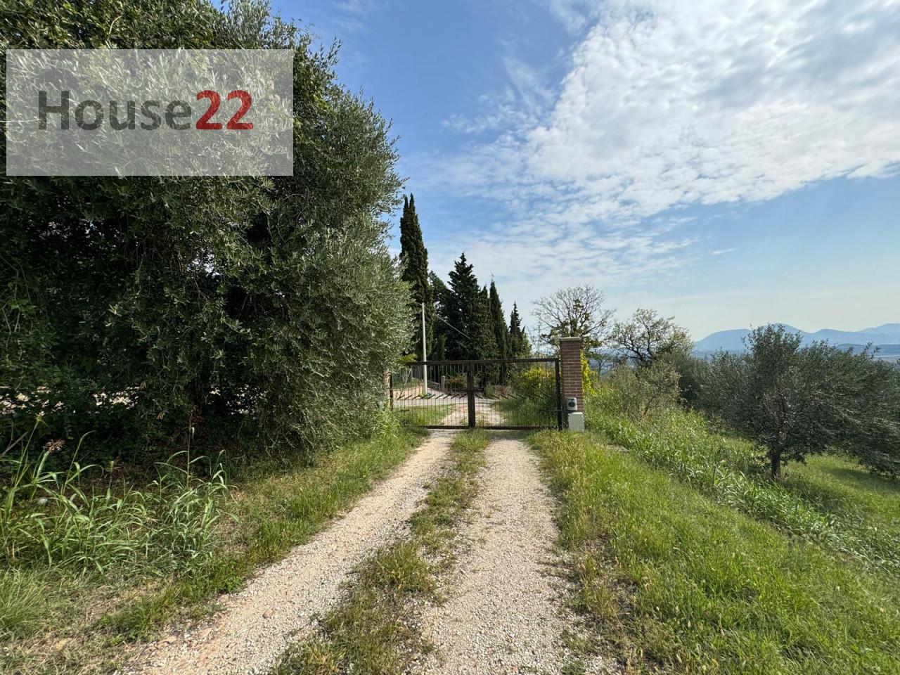 immagine annuncio 5 di 11