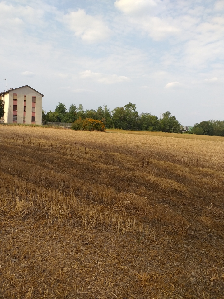 Terreno agricolo in vendita a Cerro Maggiore