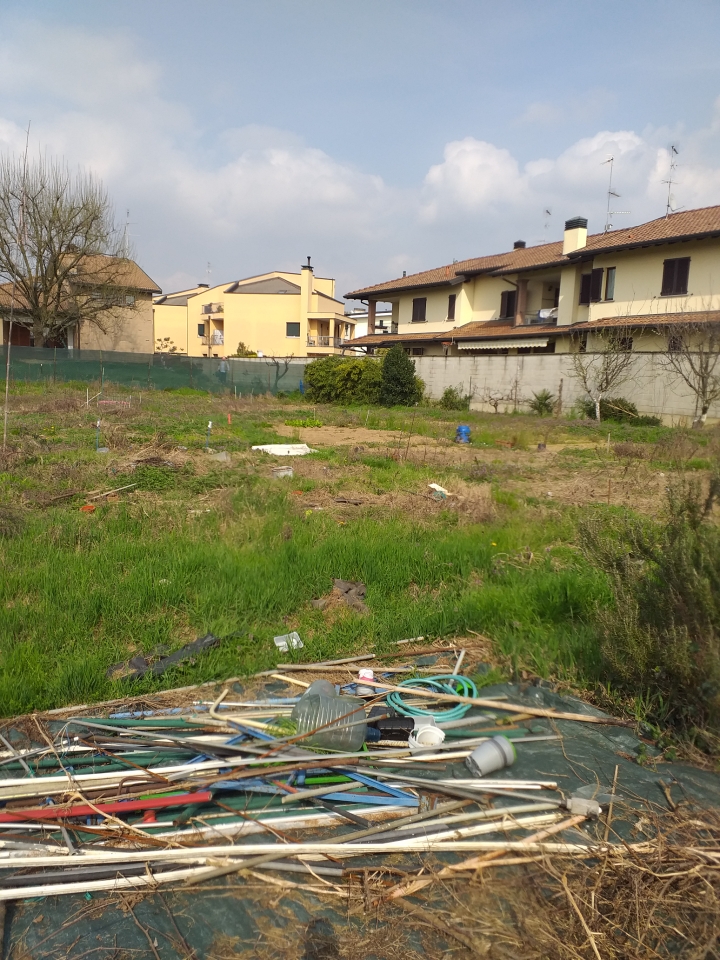 immagine annuncio 2 di 12