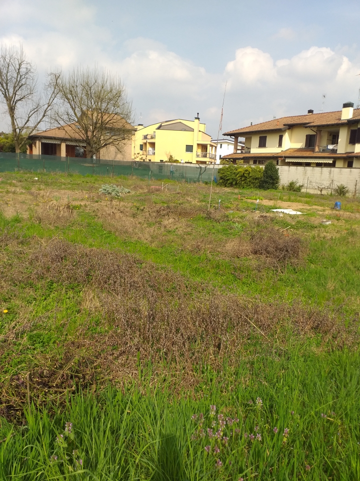 immagine annuncio 1 di 12