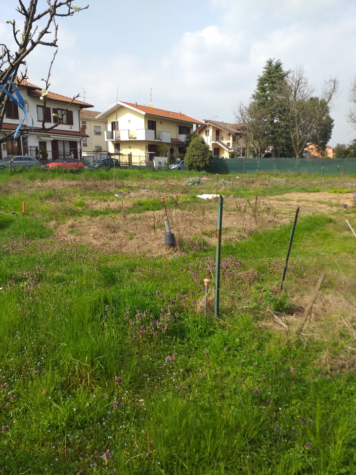 immagine annuncio 6 di 12