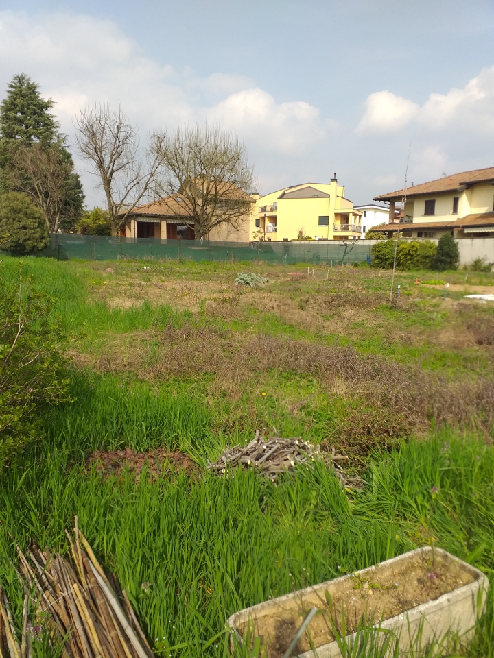 immagine annuncio 3 di 12