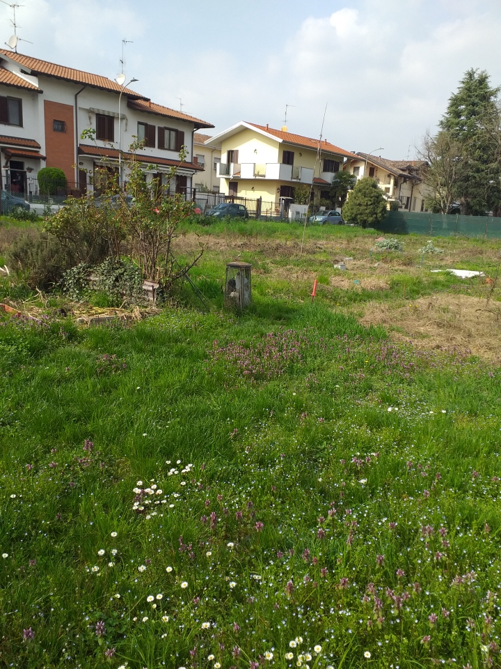 immagine annuncio 9 di 12