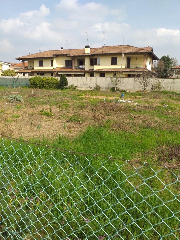 immagine annuncio 5 di 12