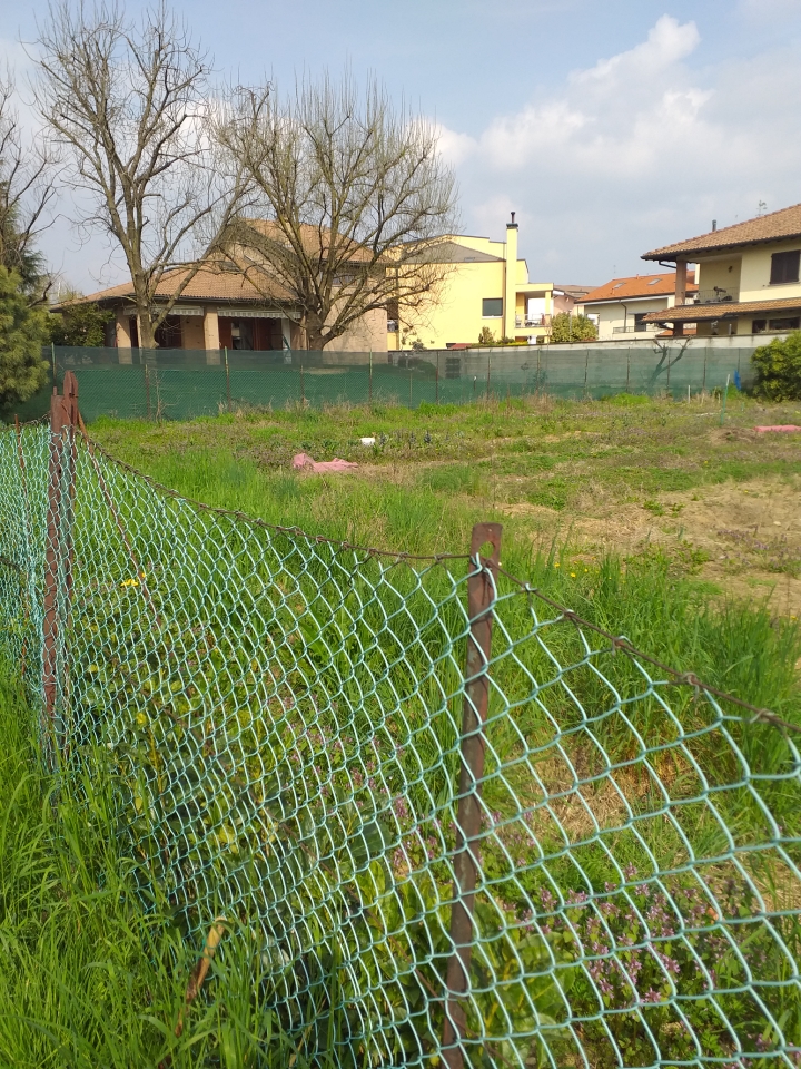 immagine annuncio 4 di 12