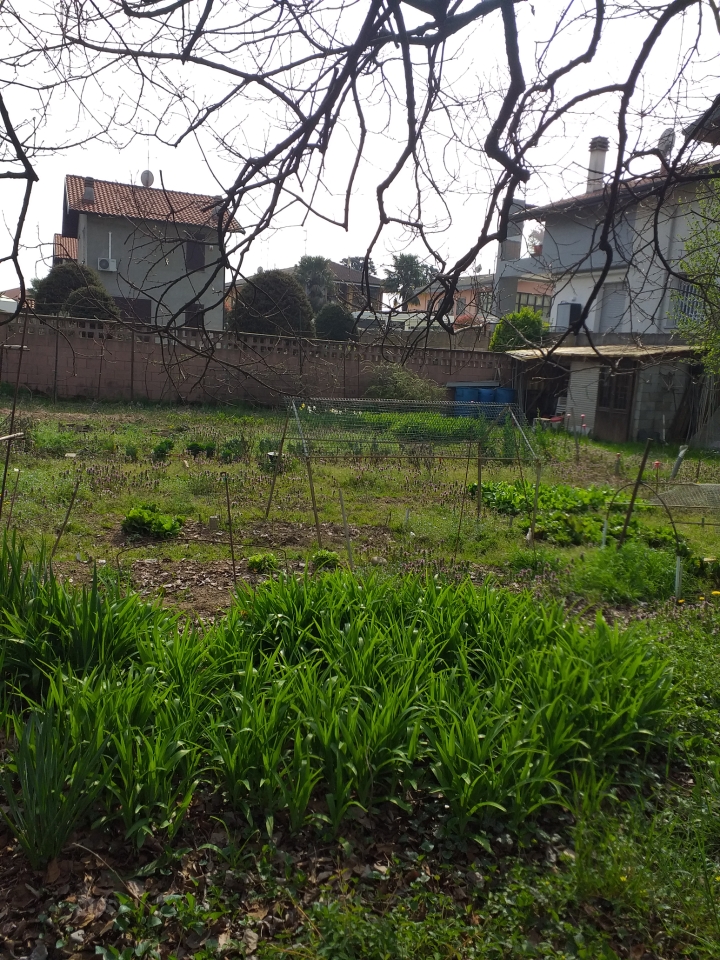immagine annuncio 2 di 3