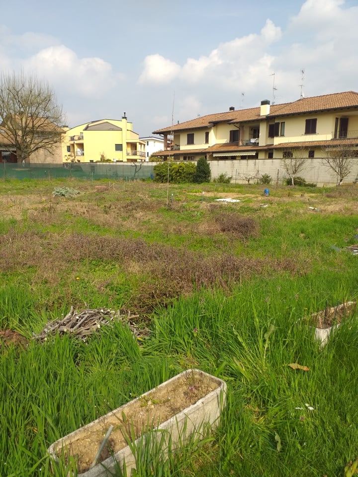 immagine annuncio 2 di 7