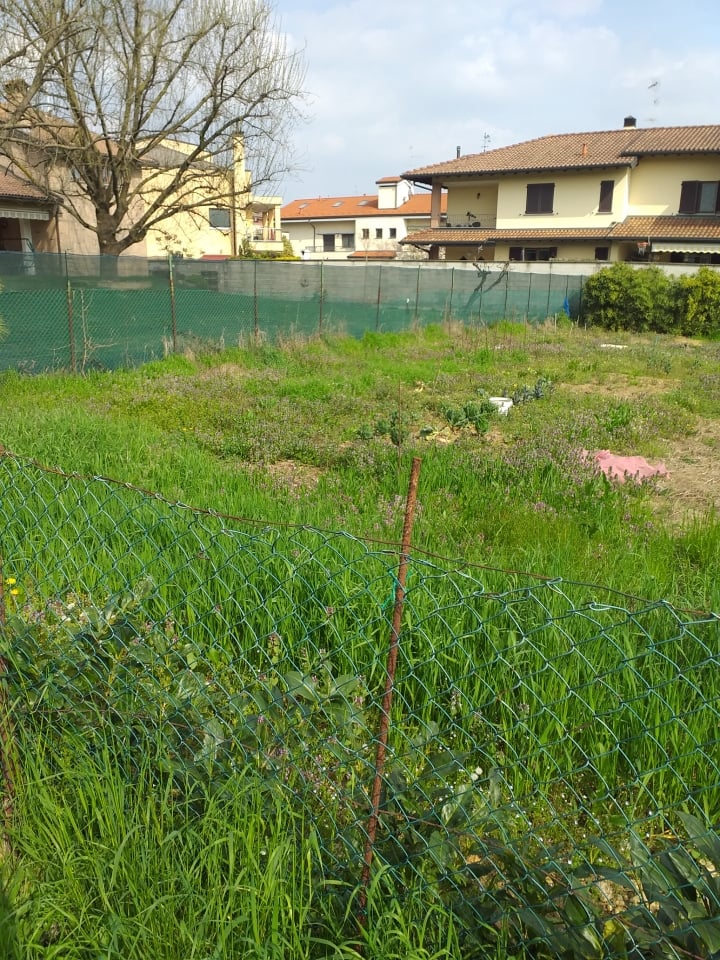 immagine annuncio 4 di 7