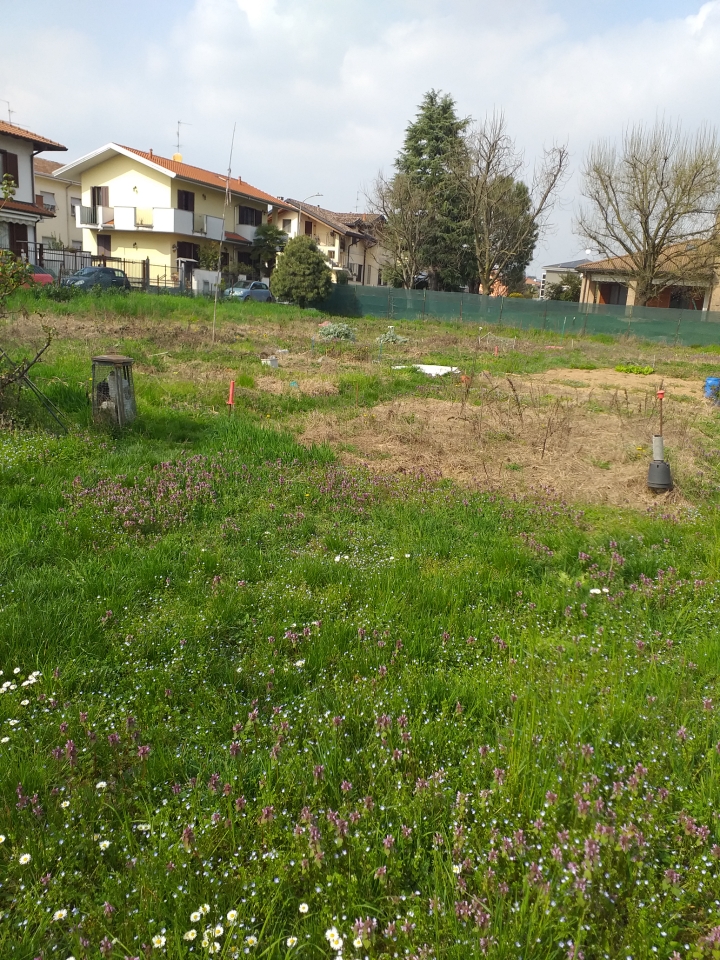 immagine annuncio 3 di 7
