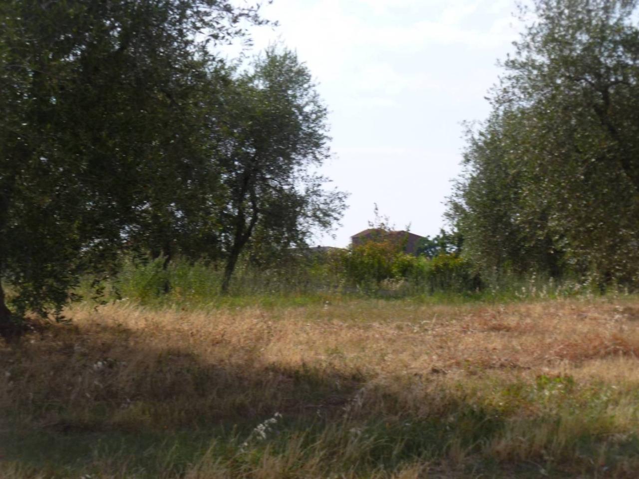 immagine annuncio 4 di 6