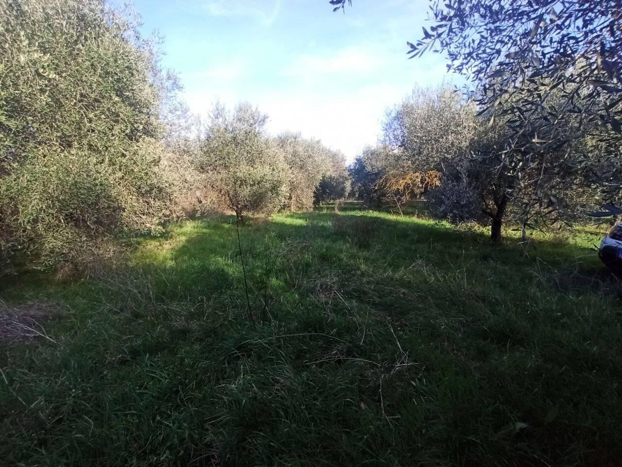 immagine annuncio 10 di 11