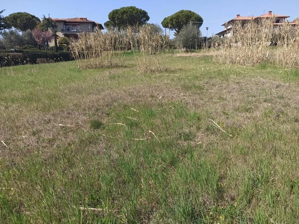 immagine annuncio 1 di 9
