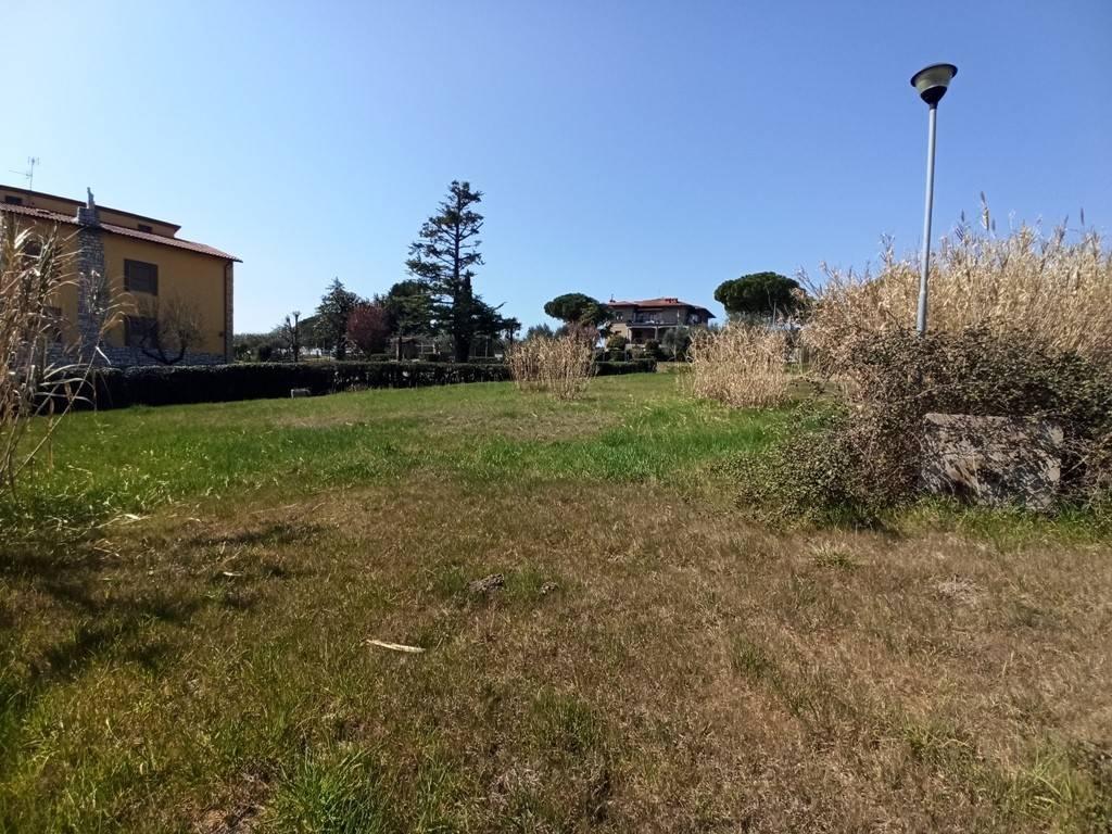 immagine annuncio 3 di 9