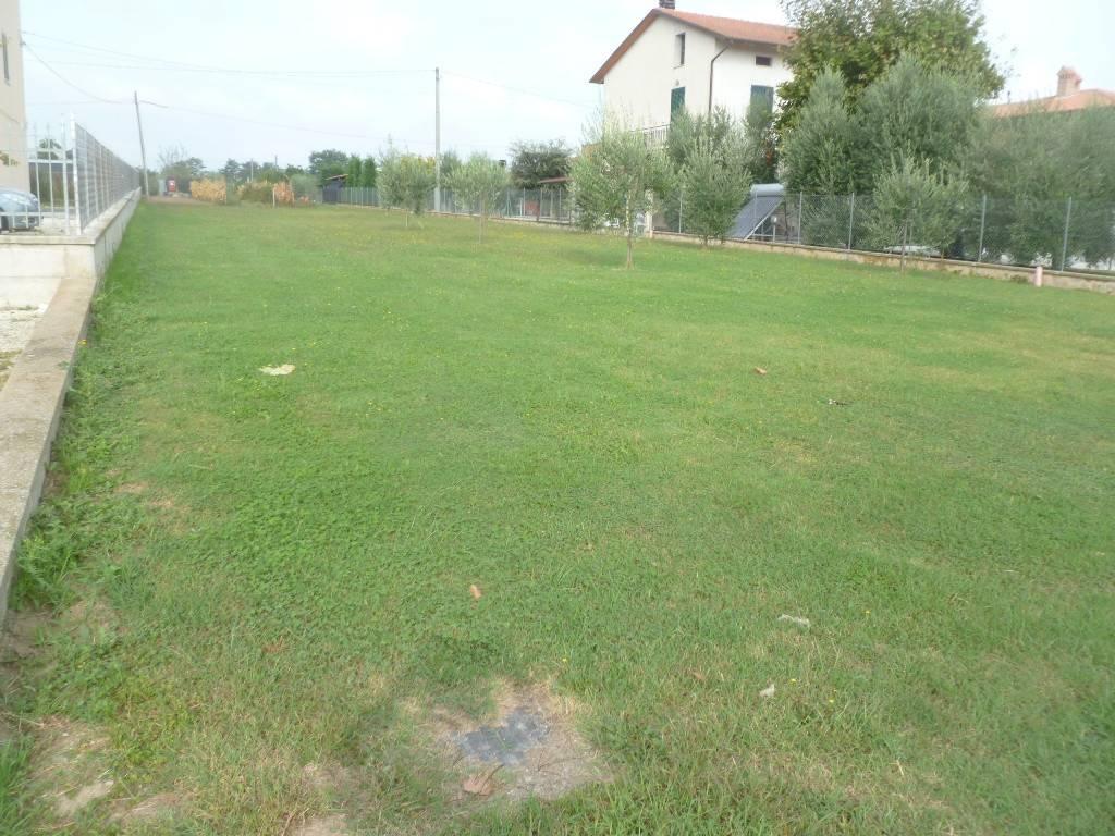 immagine annuncio 1 di 7